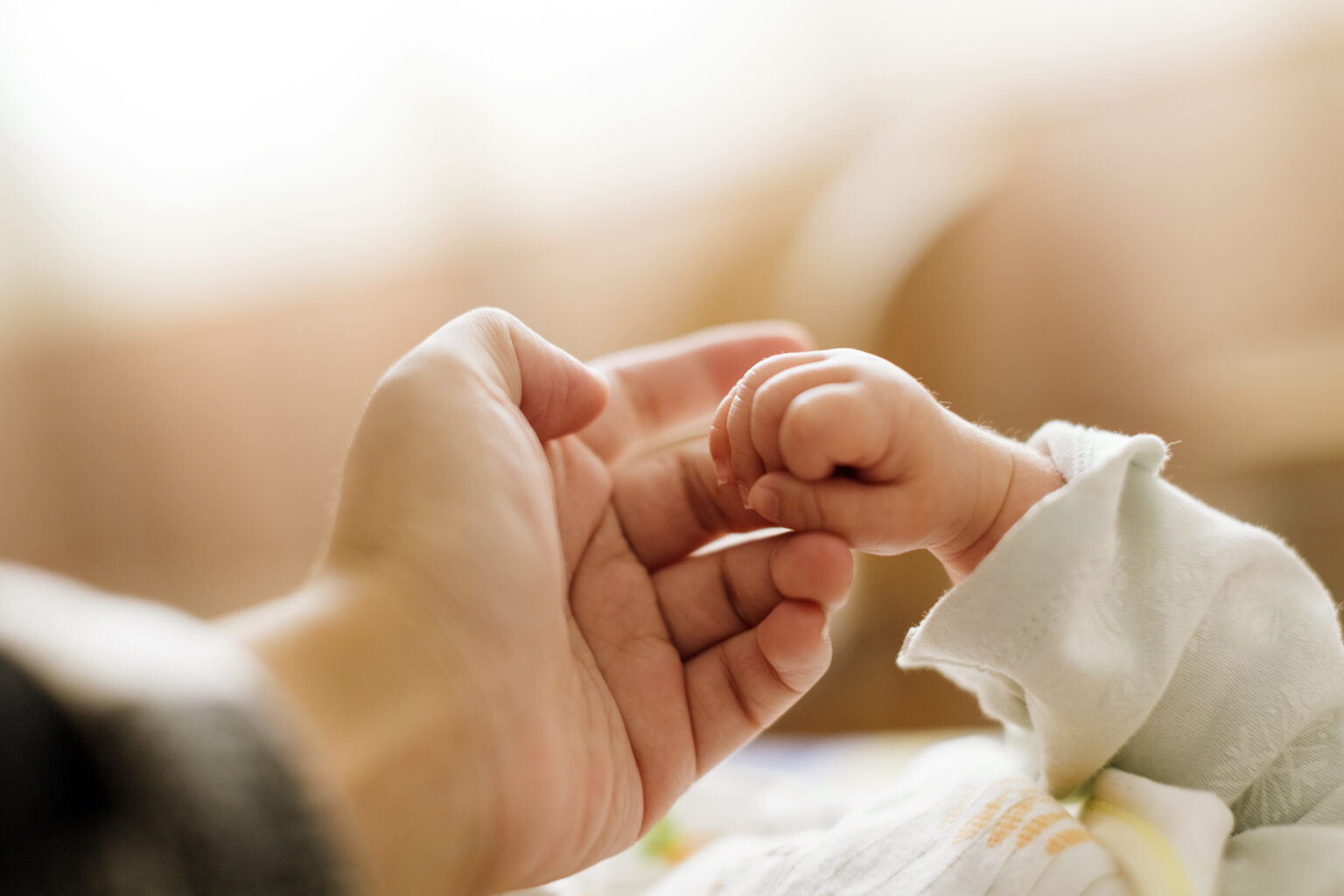 USCCB offers resources for Respect Life Month 2020, theme is 'Live the