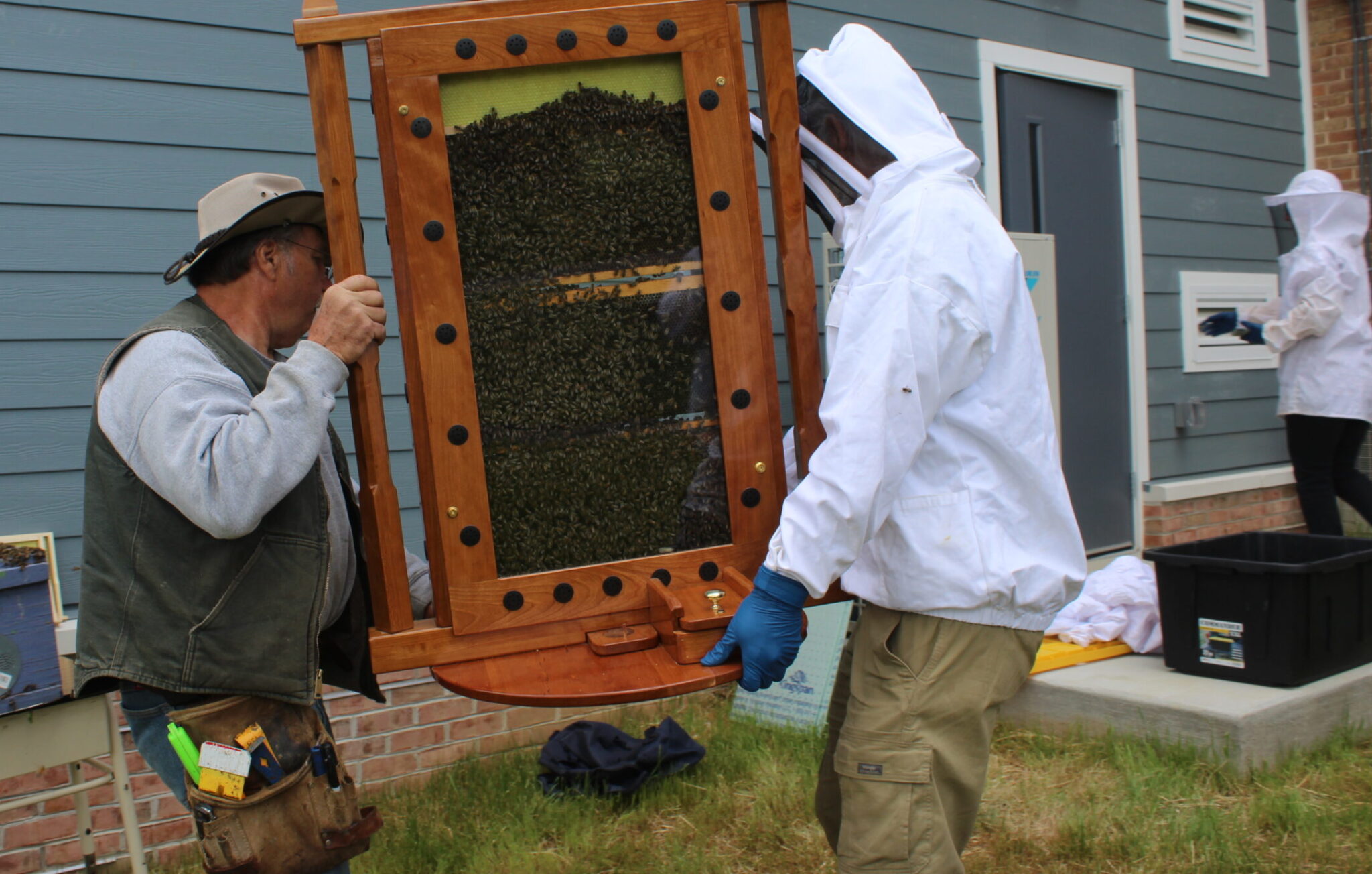 Mount Aviat Academy will establish beehive on campus Photo gallery