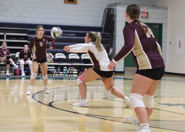 Highlanders Vikings VB25 1